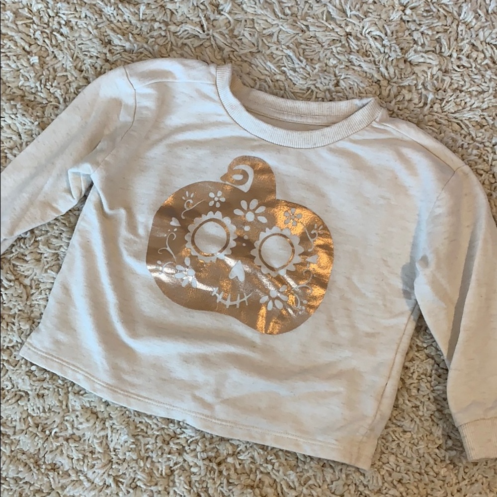 Gymboree pumpkin sweatshirt